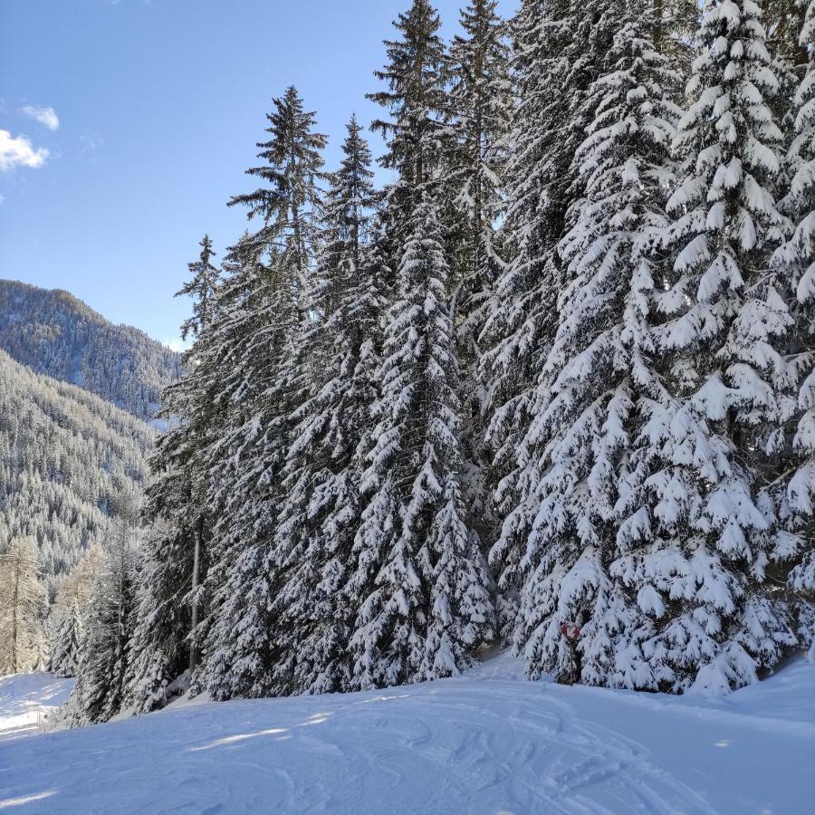 Villa Kofler Wonderland Resort Campitello di Fassa Dış mekan fotoğraf