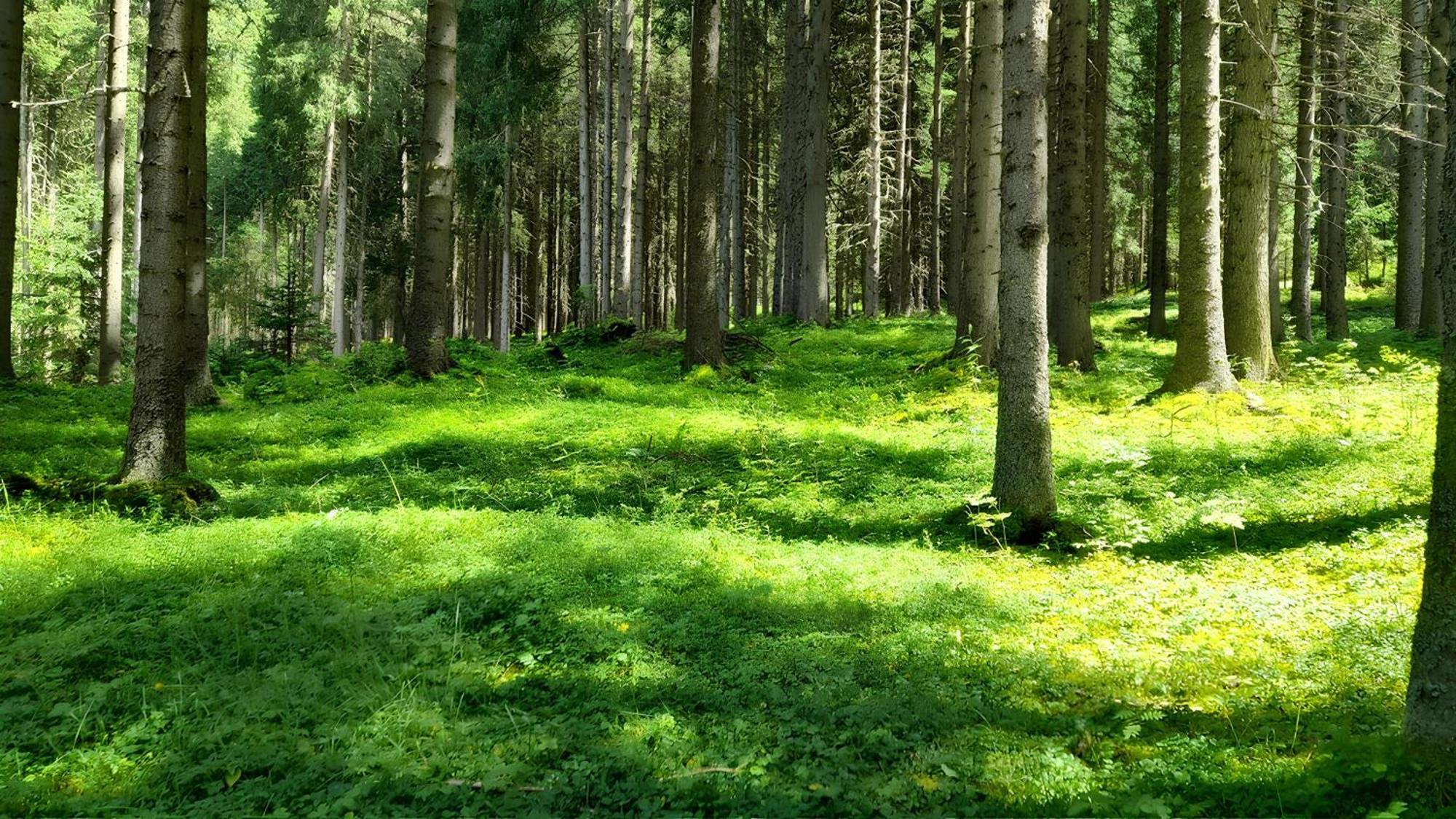 Villa Kofler Wonderland Resort Campitello di Fassa Dış mekan fotoğraf